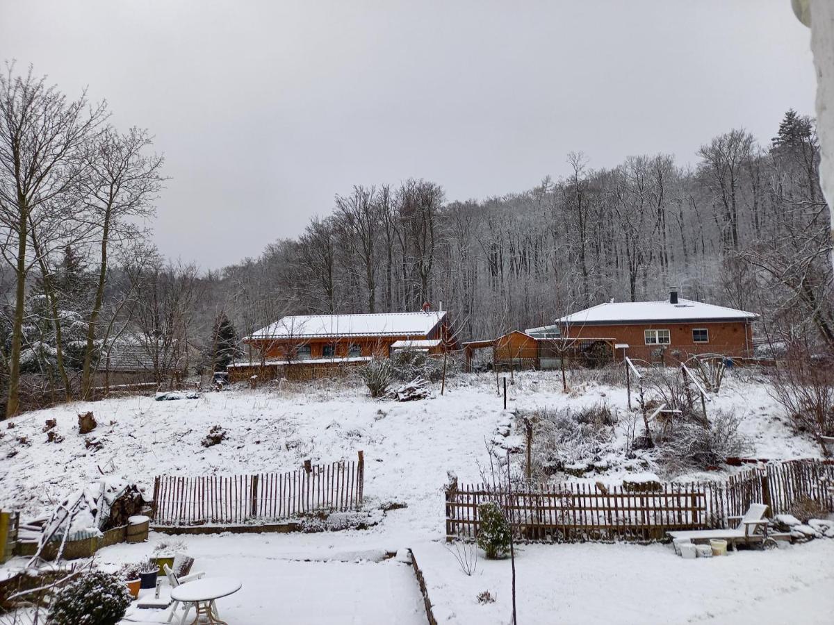 Zwoelfenstein Mit 3 Dtv Sternen Ausgezeichnet Bad Harzburg