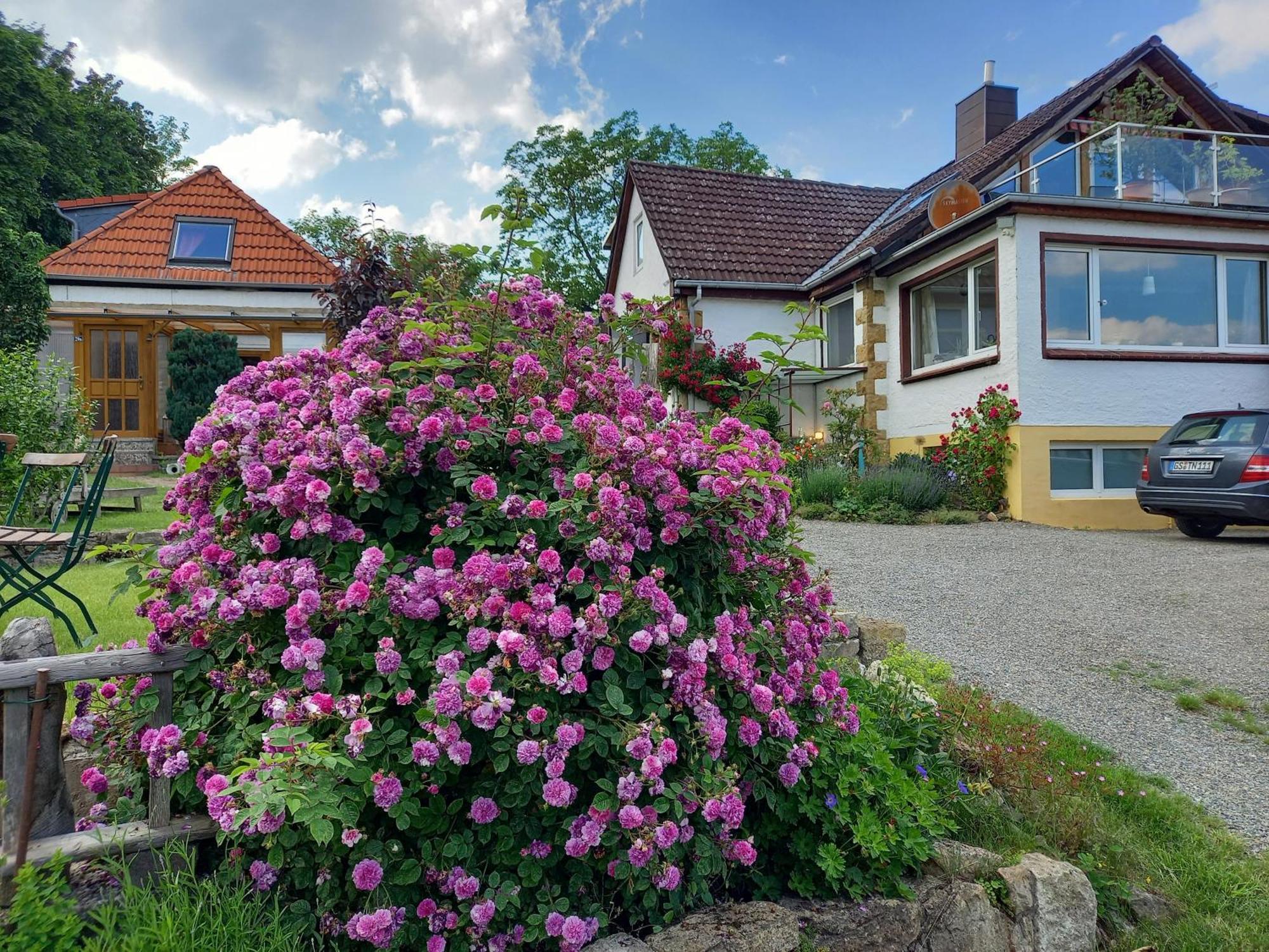 Holiday home Zwoelfenstein Mit 3 Dtv Sternen Ausgezeichnet Bad Harzburg